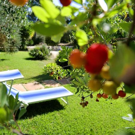 Missipezza Residence A Frassanito Alimini Ngoại thất bức ảnh