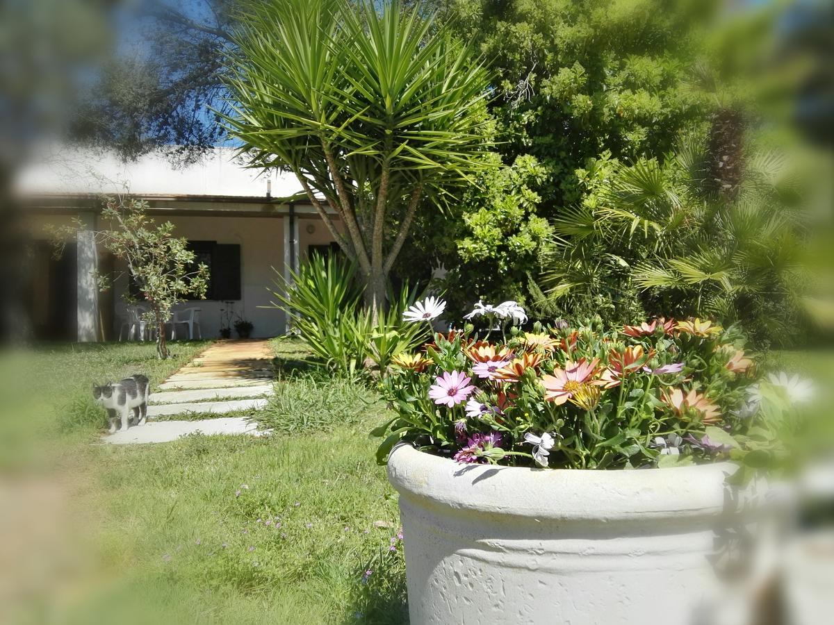 Missipezza Residence A Frassanito Alimini Ngoại thất bức ảnh